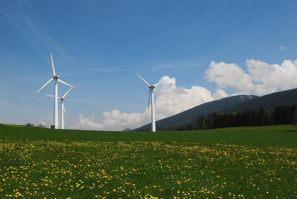 Rodinny Penzion Skiland Ostružná Exterior foto
